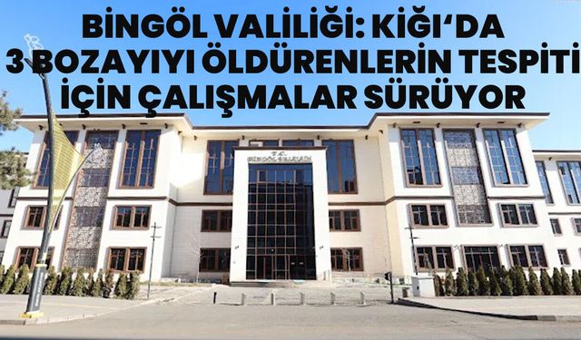 Bingöl Valiliği: 3 Boz Ayıyı Öldürenlerin Tespiti için Çalışmalar Kararlılıkla Sürüdürülüyor