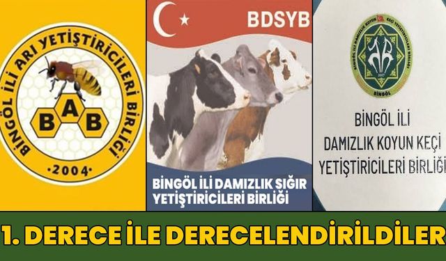 Bingöl’deki 3 Birlik 1. Derece ile Tescillendi!