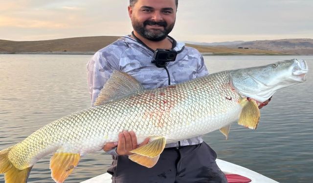 Elazığ'da Dev Turna Balığı Yakaladılar!