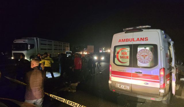 Genç Köprüsü'nde Feci Kaza: 2 Ölü, 2 Yaralı