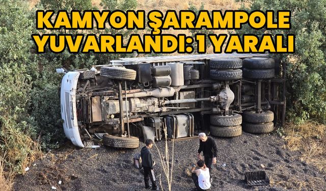 Bingöl'de Kamyon Şarampole Yuvarlandı: 1 Yaralı