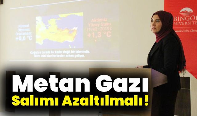 Metan Gazı Salımı Azaltılmalı!