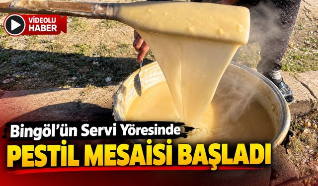 Bingöl Servi’de Geleneksel Pestil Mesaisi Başladı