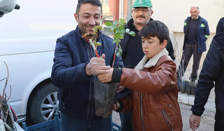 Konya'nın O İlçelerindeki Çiftçiye Antep Fıstığı Desteği