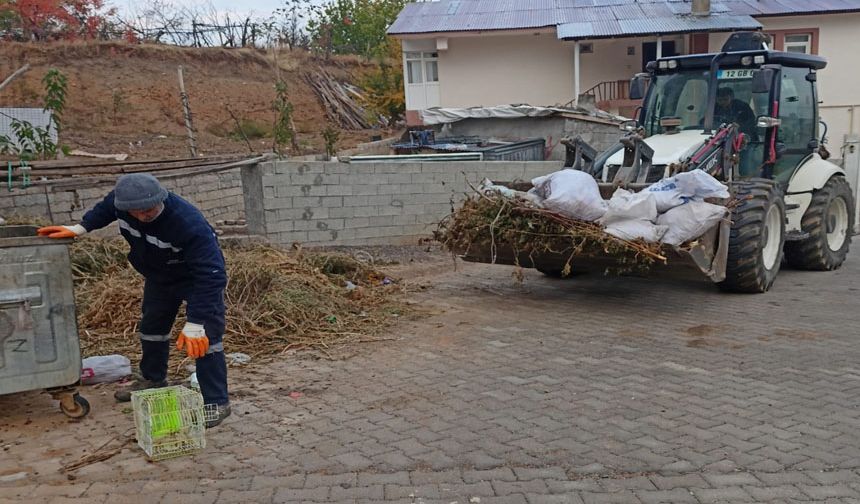 Genç'te 'Temizlik Seferberliği' Başlatıldı