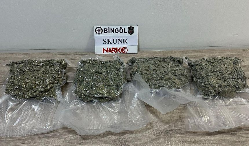 Bingöl'de 'NARKO TİM' Operasyonu: 2 Kilo Skunk Ele Geçirildi