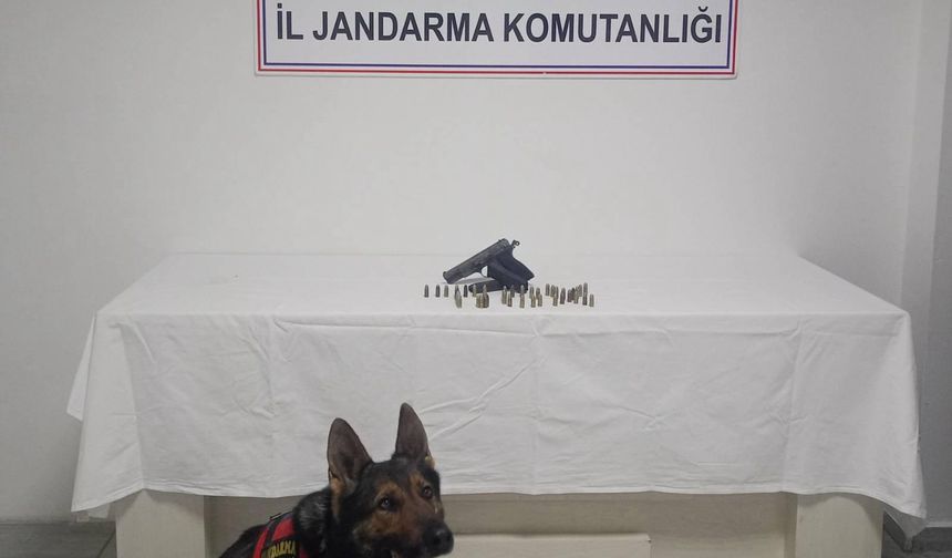 Bingöl’de Ruhsatsız Silah ve Mühimmat Ele Geçirildi