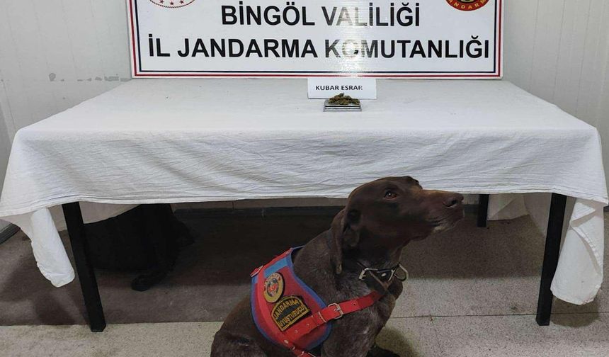 Bingöl'de 2 Şüpheli Araçta Narkotik Madde ve Av Tüfeği Ele Geçirildi