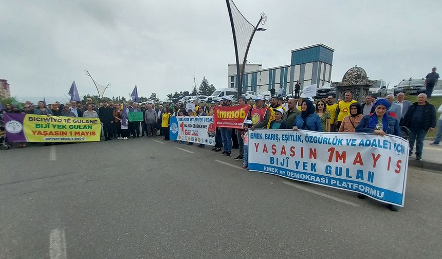 Bingöl Emek ve Demokrasi Platformundan 1 Mayıs Kutlaması