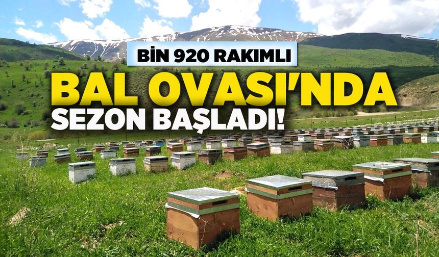 Bingöl'de Bal Ovası'nda Bal Sezonu Başladı!