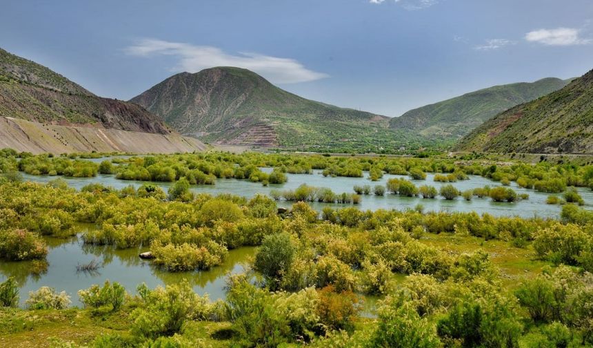 Bingöl Sınırında Fotosafari Heyecanı!