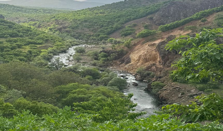 Bingöl, İlkbaharda Yeşilin Her Tonuna Evsahipliği Yapıyor!