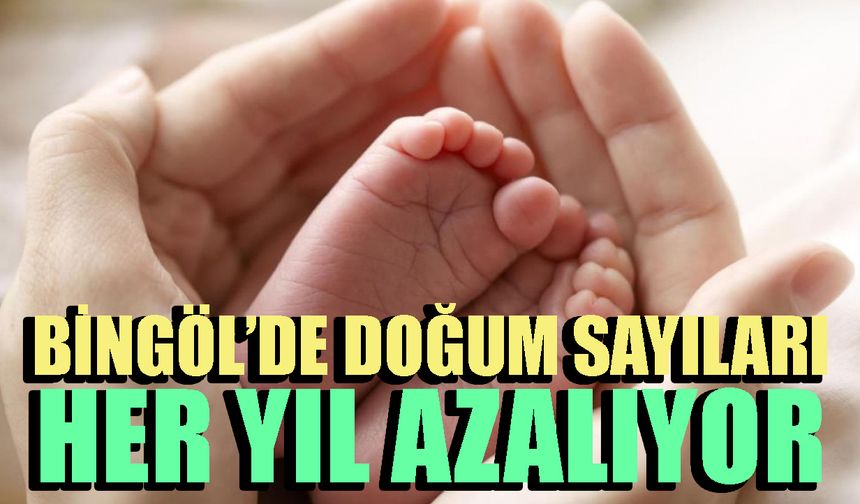 Bingöl’de Doğum Sayıları Her Yıl Azalıyor