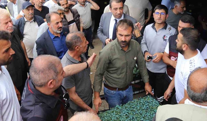 Bingöl’de 442 Bin Sebze Fidesi Dağıtımı Yapıldı