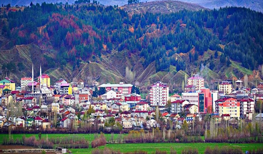 Bingöl'de 41 Arsa Satışa Çıkarılacak!