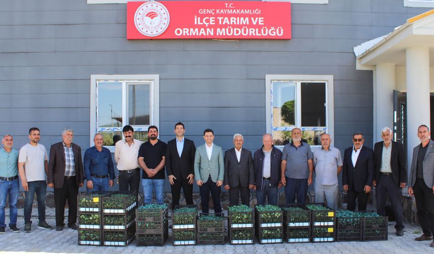 Bingöl'ün İlçesinde 30 Bin Fide Dağıtıldı