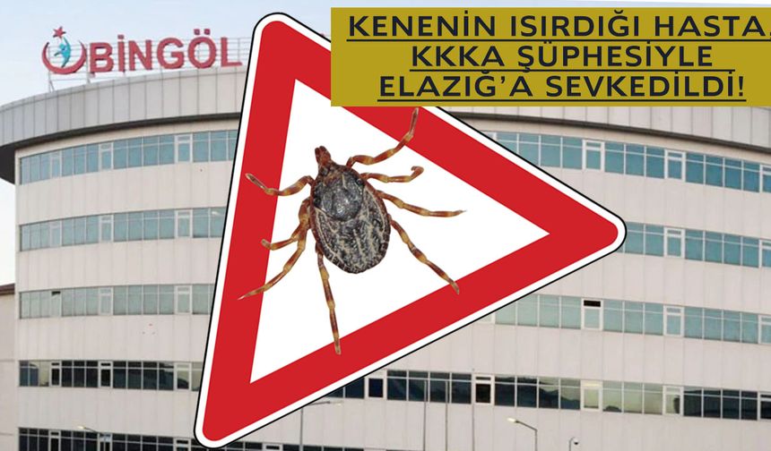 Dikkat: Bingöl'de 'Yılın İlk' Kene Vakasına Rastlandı!
