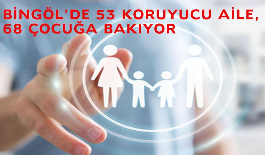 Bingöl'de 53 Koruyucu Aile 68 Çocuğa Bakıyor!