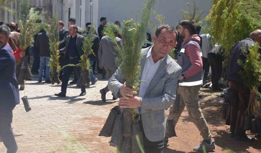Muş'un İlçesinde 5 Bin Çam Fidanının Dağıtımı Yapıldı