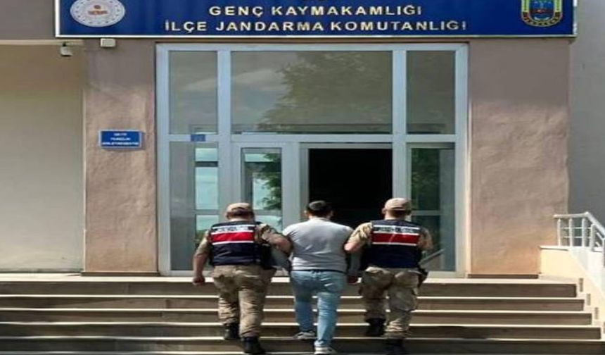 Bingöl'de Yakalanarak Cezaevine Gönderildiler