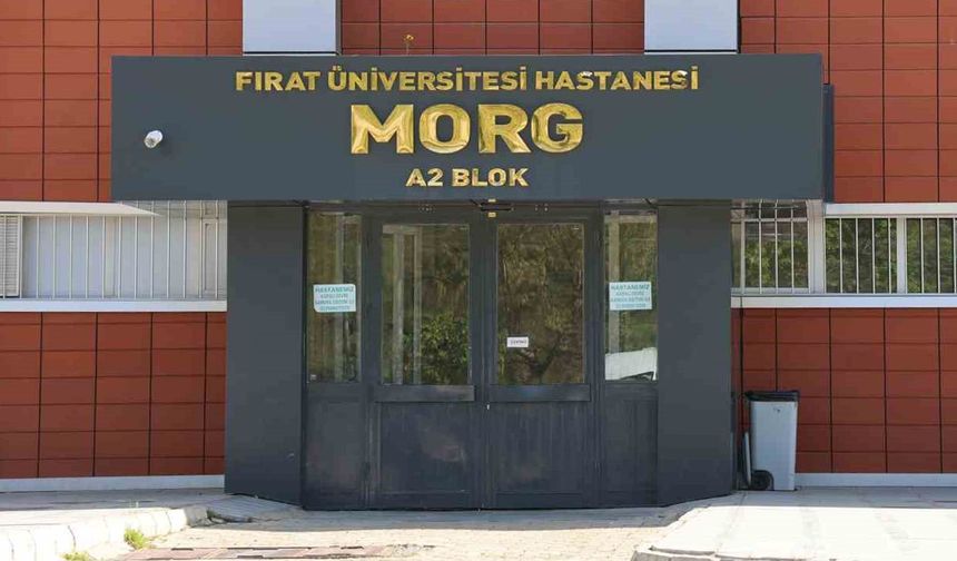 Uçurumdan Düşerek Yaşamını Yitirdi
