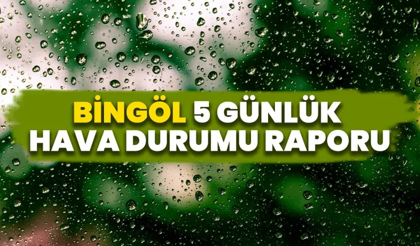 Bingöl 5 Günlük Hava Durumu Raporu