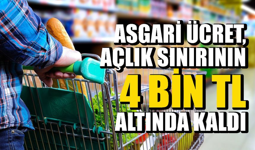 Asgari Ücret, Açlık Sınırının 4 Bin TL Altında Kaldı