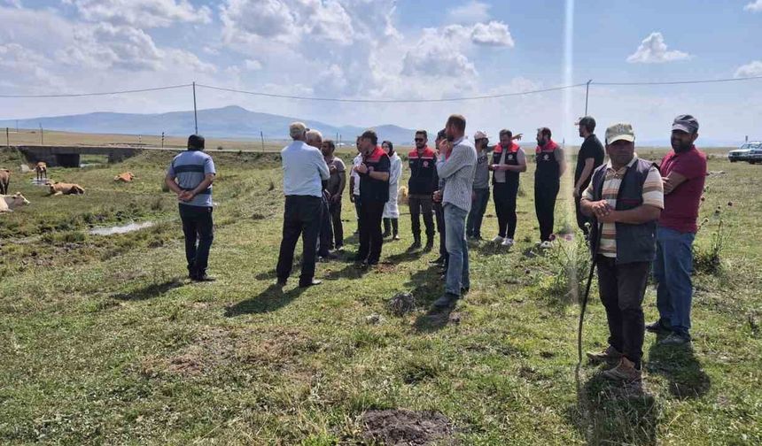 Büyükbaş Hayvanları Aşılama Seferberliği Başlatıldı