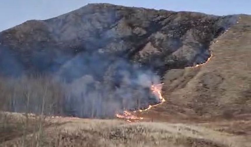 Oltu Süleymanlı Mahallesi’nde Örtü Yangını Kontrol Altına Alındı