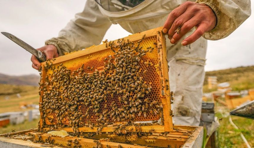 FKA 7 Projeye Destek Verecek, 1’i Bingöl’ün