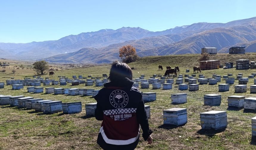 Yedisu'da Arıcılar Bilgilendirildi