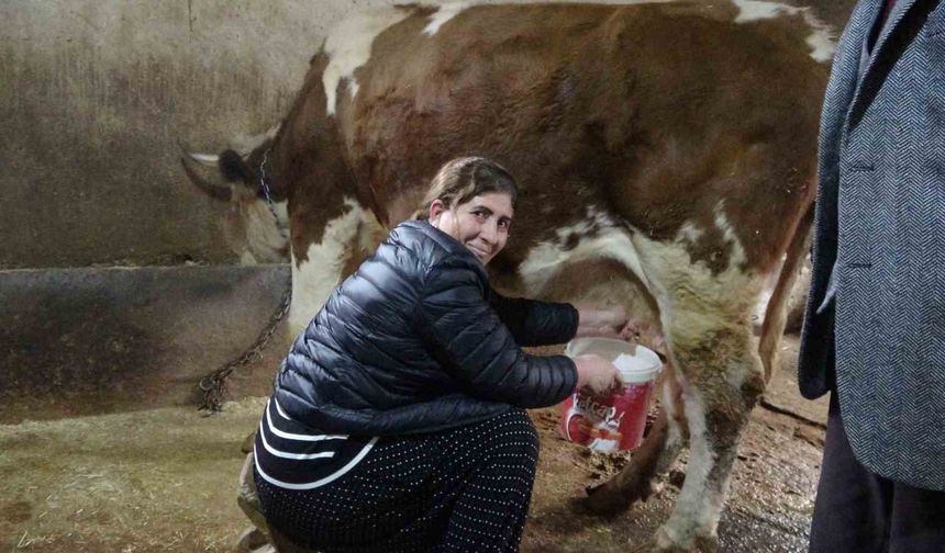 8 Erkek Adayı Geride Bıraktı, Muhtar Oldu