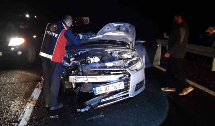 Otomobilin Çarptığı At Telef Oldu