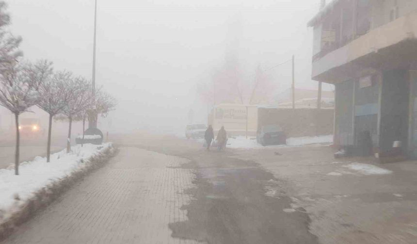 Başkale’de Yoğun Sis Etkili Oldu