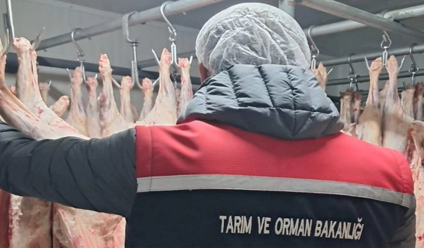 Erzurum'da 1 Haftada 494 İşyeri Denetlendi