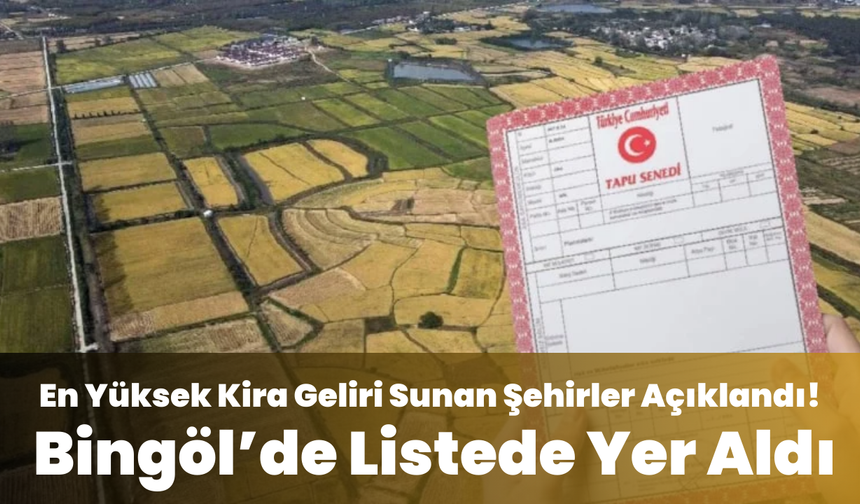 En Yüksek Kira Geliri Sunan Şehirler Açıklandı! Bingöl’de Listede Yer Aldı