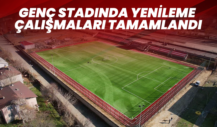 Genç Stadında Yenileme Çalışmaları Tamamlandı