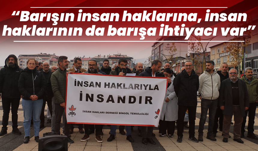 İHD Bingöl Temsilciliğinden İnsan Hakları Haftasında Basın Açıklaması