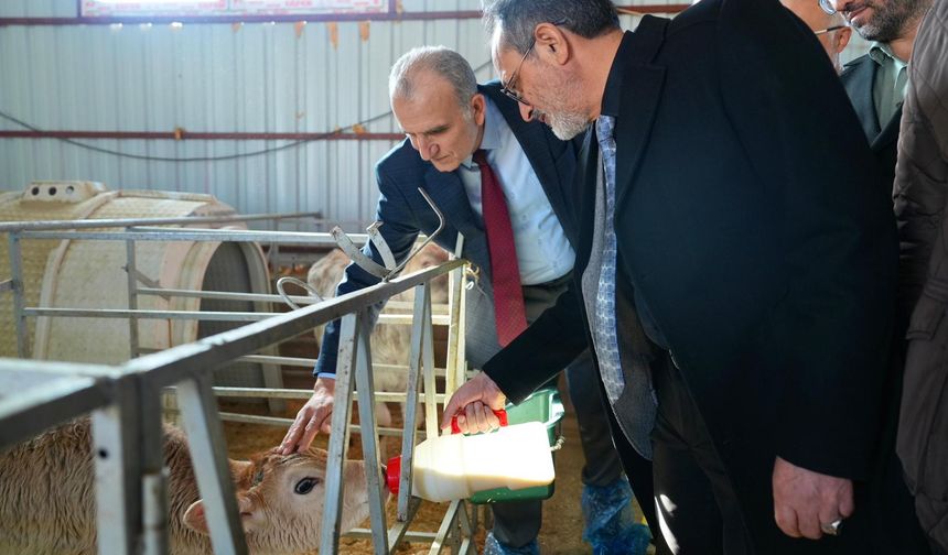 Kampüsün Yeni Üyeleri Hayata Merhaba Dedi