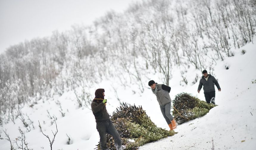 Muş’ta Çetin Kış, Besicileri Zorluyor