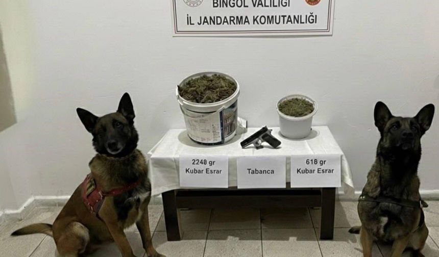 Bingöl’de Jandarmadan Uyuşturucu Operasyonu: 3 Gözaltı