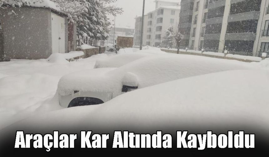 Bingöl'de Araçlar Kar Altında Kayboldu