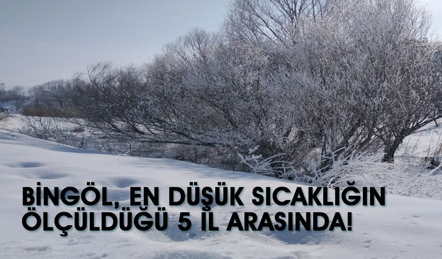 Bingöl En Soğuk İller Arasında İlk 5’te!