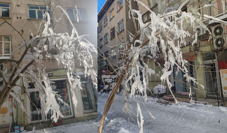 Bingöl'ün 3 ilçesinde eğitime 1 gün ara verildi