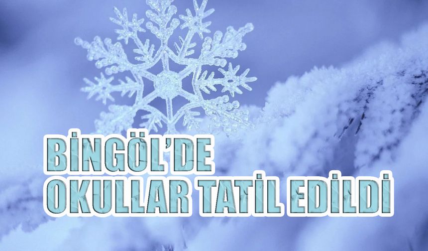 Bingöl’de Okullar Tatil Edildi