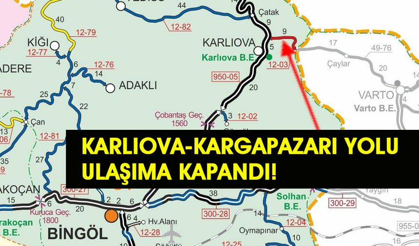 Bingöl'de Kar Ulaşımı Aksatıyor: Karlıova-Kargapazarı Yolu Kapandı