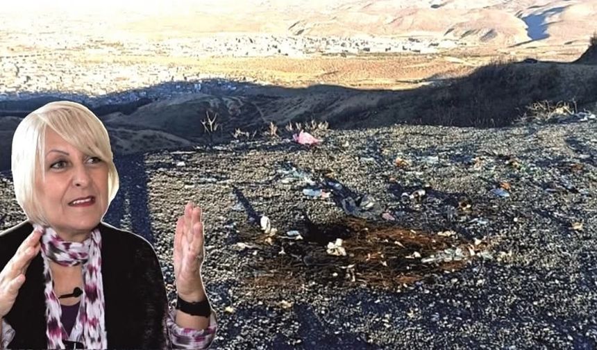 Az Tepesi: Doğayla Barışık Bir Seyir Terası Neden Olmasın?