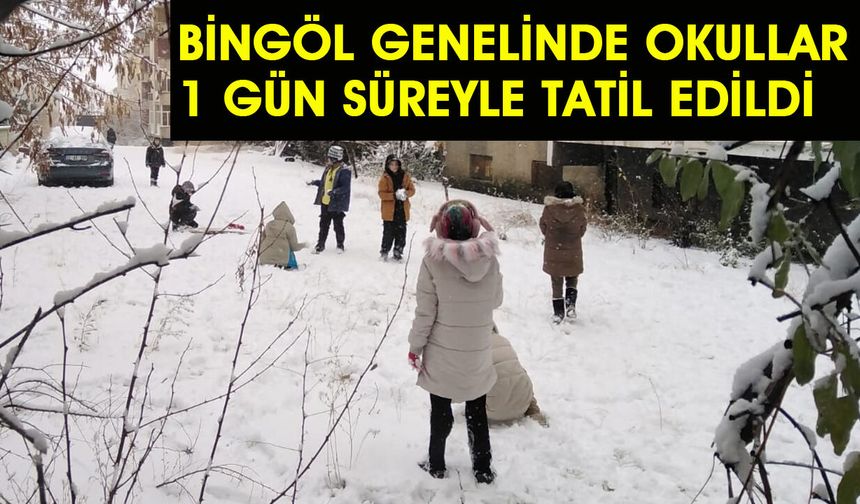 Bingöl Genelinde Okullara Kar Engeli!