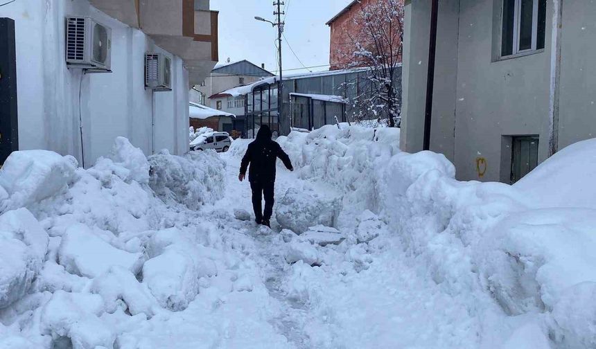 Karlıova’da Kar 40 Gündür Etkisini Sürdürüyor
