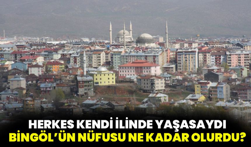Herkes Kendi İlinde Yaşamış Olsaydı Bingöl’ün Nüfusu Ne Kadar Olurdu?